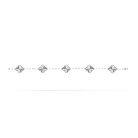 -Изображение витрины, изображение на руке -Van Cleef & Arpels