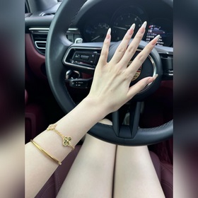 -Изображение витрины Изображение на руке -Van Cleef & Arpels 