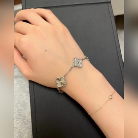 -Изображение витрины Изображение на руке -Van Cleef & Arpels 