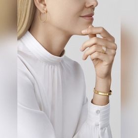 -Изображение витрины, изображение на руке -Van Cleef & Arpels