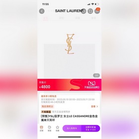 YSL Saint Laurent буквальные серьгиз оригинального латунного мате