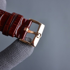 TW Omega выпустила новую модель, воспроизводящую самую выдающуюся