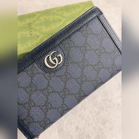 Новая сумка с застежкой-молнией из серии Ophidia от Gucci. Модели