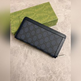 Новая сумка с застежкой-молнией из серии Ophidia от Gucci. Модели
