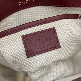 Новинка Мини-сумка через плечо из серии Gucci Horsebit 1955 В рек
