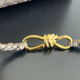 #Bottega Veneta 2023 весна-лето, новая сумка Andiamo, модель, кот