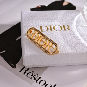 Новые заколки Dior. Металлический дизайн с буквами в стиле ретро 