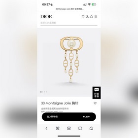Dior · Dior Новая буква-брошь в металлическом стиле с обратной ст