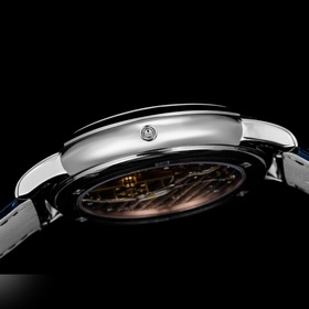 Серия часов Patek Philippe суперсложными функциями： «Звездное неб