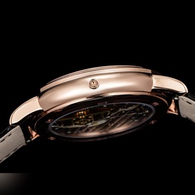 Серия часов Patek Philippe суперсложными функциями： «Звездное неб