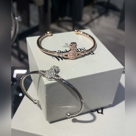 Vivienne Westwood Браслет от Vivienne Westwood. Что такое «планет