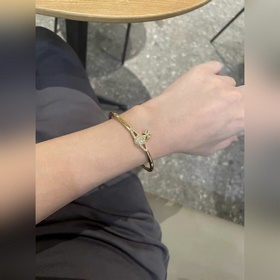 Vivienne Westwood Браслет от Vivienne Westwood. Что такое «планет