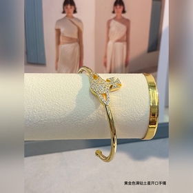 Vivienne Westwood Браслет от Vivienne Westwood. Что такое «планет