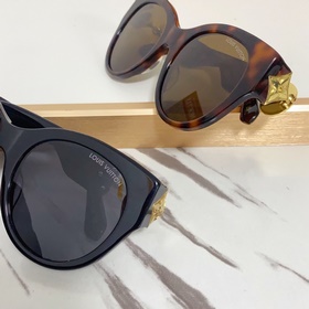 LOUIS VUITTON МОДЕЛЬ： Z2250W РАЗМЕР： 53 x 22 x 135