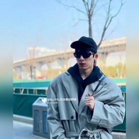 CELINE CL40195 Изображение модели