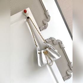 CNITFRAS5631 Серия CHANEL 25： еще один