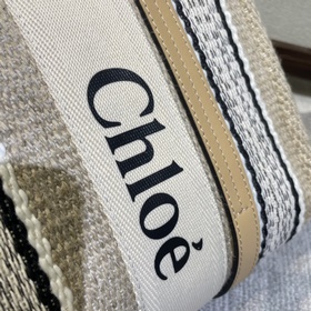 2026 Новая сумка Chloe Rainbow Woody T