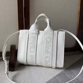 Новинка! Chloe 22S Woody Full Leather