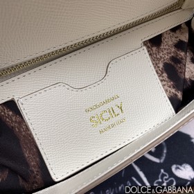 Dolce & Gabbana (6113# Palm Print)