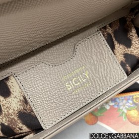 Dolce & Gabbana (6113# Palm Print)