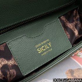 Dolce & Gabbana (6113# Palm Print)