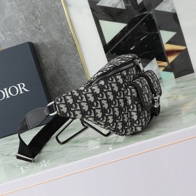Поясная сумка Dior 8 из весенней колле