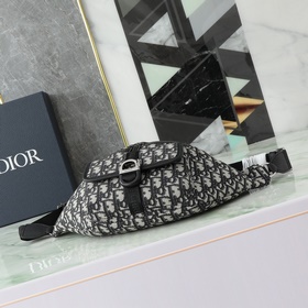 Поясная сумка Dior 8 из весенней колле