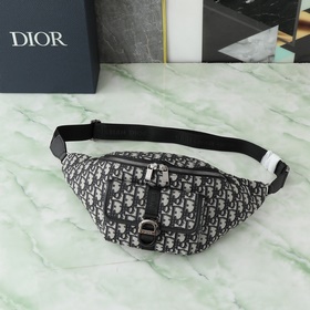 Поясная сумка Dior 8 из весенней колле