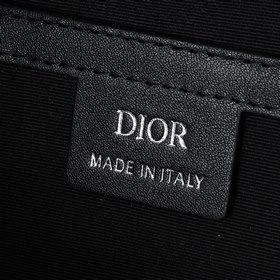 Поясная сумка Dior 8 из весенней колле