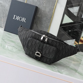 Поясная сумка Dior 8 из весенней колле