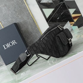 Поясная сумка Dior 8 из весенней колле