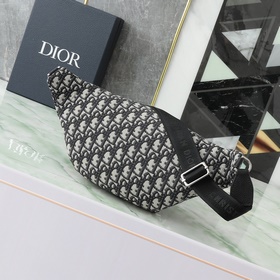 Поясная сумка Dior 8 из весенней колле
