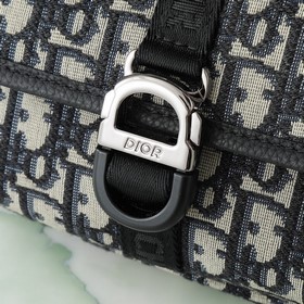 Поясная сумка Dior 8 из весенней колле