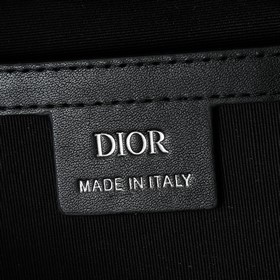 Поясная сумка Dior 8 из весенней колле