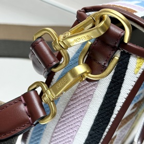 FENDI Лимитированная серия ярких вышит