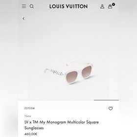 LOUIS VUITTON Z1525W
