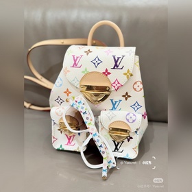 LOUIS VUITTON Z1525W