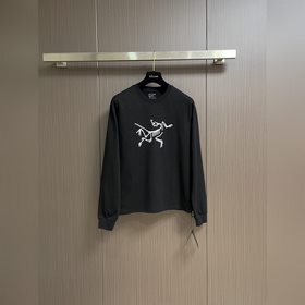 Arcteryx 2026 SS Early Autumn Oversize
