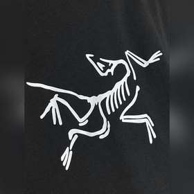 Arcteryx 2026 SS Early Autumn Oversize