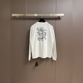Arcteryx 2026 SS Early Autumn Oversize