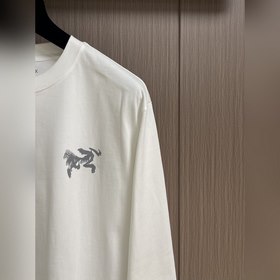 Arcteryx 2026 SS Early Autumn Oversize
