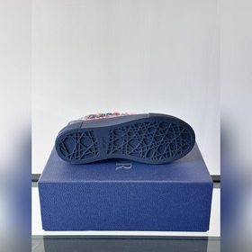 Dior B33 Series Последний год змеи Лим