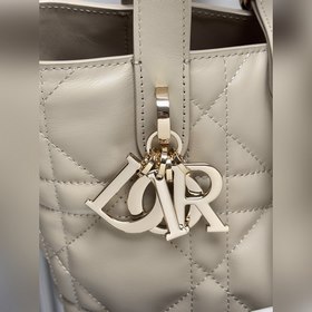 Вертикальная сумка Dior Toujours — это