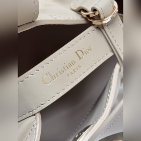 Вертикальная сумка Dior Toujours — это