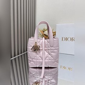 Вертикальная сумка Dior Toujours — это