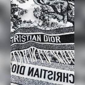 [Животные] DIOR CD Жаккардовый шарф 
