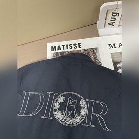 Коллекция Dior Осень/Зима 2026, подлин