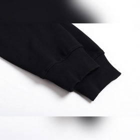 DIOR 26SS Монтень Худи  Подлинный то