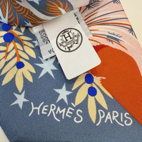 Шарф Hermès Orpheuss Enchantment Bague