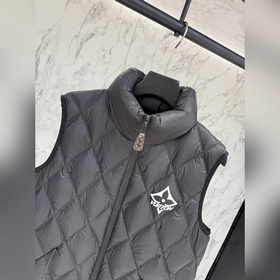 Пуховая куртка LV Premium Edition 2026